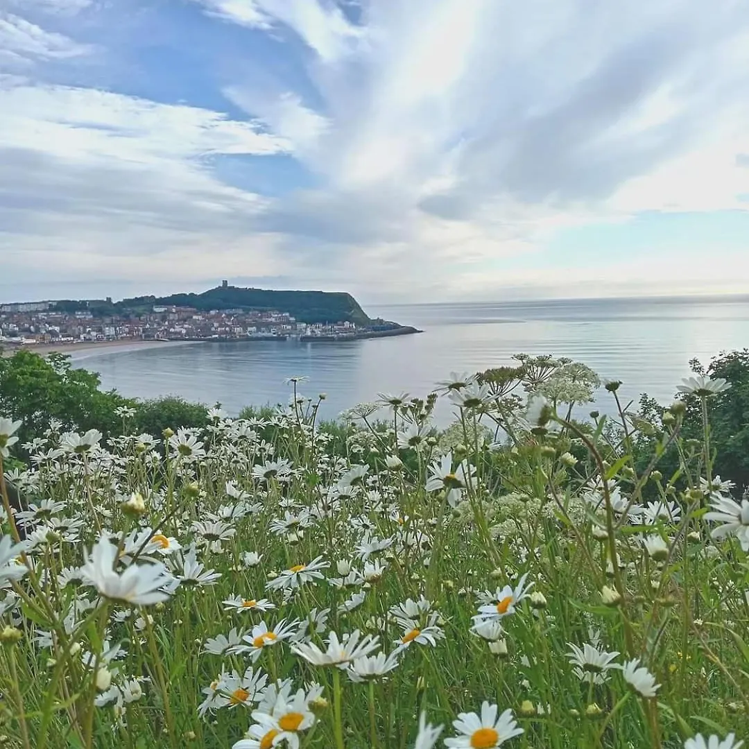 St Michaels Guest House Scarborough 3*,